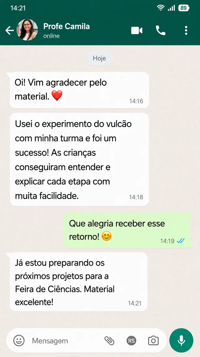 Depoimento de professora no WhatsApp sobre o experimento do vulcão