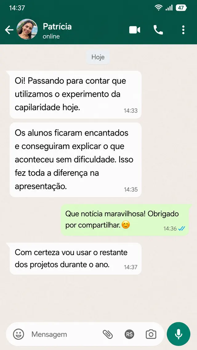Depoimento de professora no WhatsApp sobre o experimento de capilaridade
